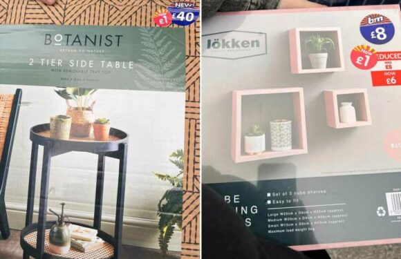 B&M shoppers scramble to get their hands on home essentials like tables and shelves that scan at just £1 at the till | The Sun