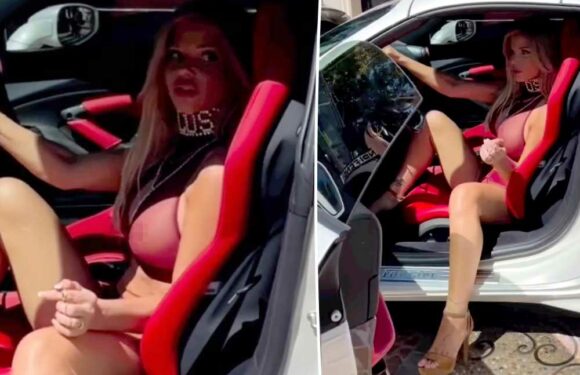 Baywatch babe Donna DErrico, 55, models fiery red lingerie in a Ferrari