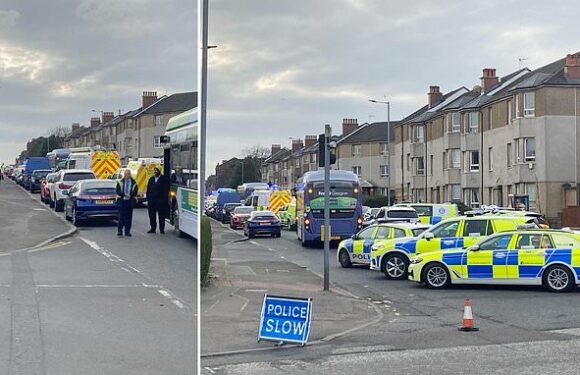 Boy, five, dies after being hit by bus and girl rushed to hospital