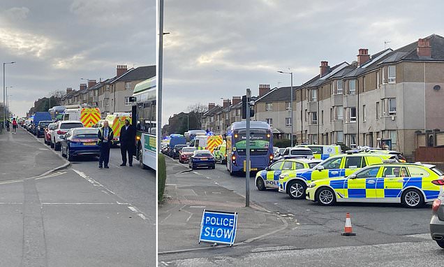 Boy, five, dies after being hit by bus and girl rushed to hospital
