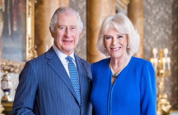 Camilla chooses calming colour with meaning for Coronation portrait