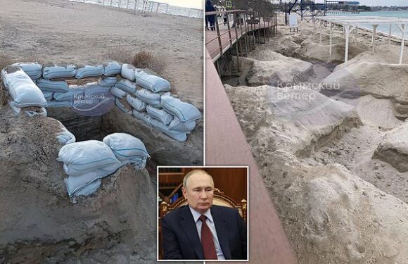 Crimea's beaches are covered with trenches and tank traps