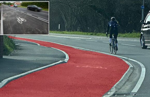 Cyclist is caught brazenly ignoring Britain's widest cycling lane