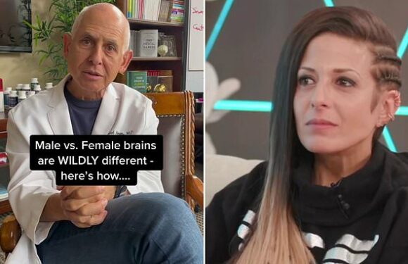 Doctor: This is the 'wild' difference between male and female brains