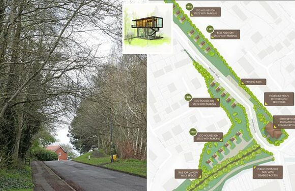 Eco plan in Cadbury village so absurd locals thought it was April Fool