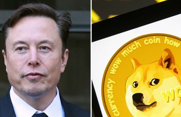 Elon Musk could lose his fortune in £206billion court case over ‘pyramid scheme’