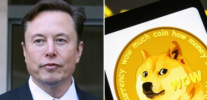 Elon Musk could lose his fortune in £206billion court case over ‘pyramid scheme’