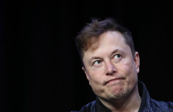 Elon Musk ‘sleeps on a couch’ in abandoned library despite £151 billion fortune