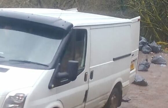 Fly-tipper caught dumping cannabis factory parts at Welsh beauty spot