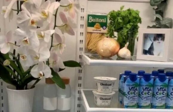 Fridge influencer admits videos are staged with decorations inside it – but everyone’s asking the same thing | The Sun
