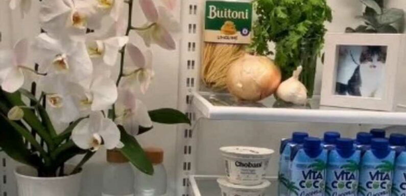 Fridge influencer admits videos are staged with decorations inside it – but everyone’s asking the same thing | The Sun