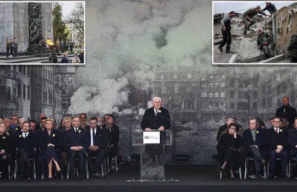 Germany's president slams Putin for causing 'immeasurable suffering'