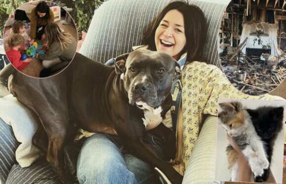 Grey’s Anatomy Star Caterina Scorsone Saved Her 3 Kids From Devastating House Fire – But Sadly Lost All 4 Pets