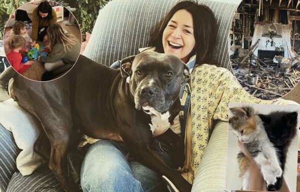 Grey’s Anatomy Star Caterina Scorsone Saved Her 3 Kids From Devastating House Fire – But Sadly Lost All 4 Pets