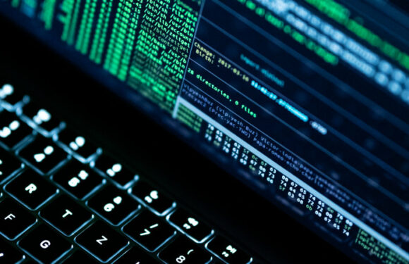 Hackers leak 16,000 Tasmanian documents on dark web