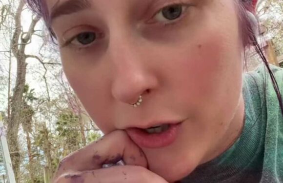 I caught my neighbours talking s**t about the colour of my house, they hate it… so I took the very best petty revenge | The Sun