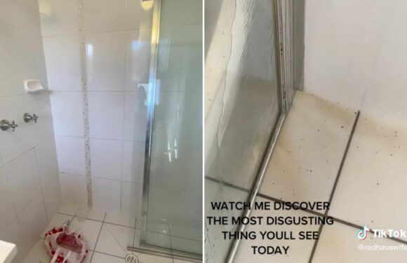 I couldn't work out why my bathroom STANK & was coated in orange grime… then I discovered old tenant's dirty secret | The Sun