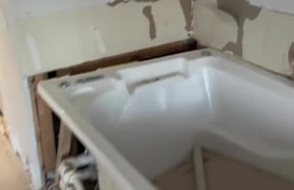 I found a hidden room in my house – spotting it nestled behind shelves was creepy enough, then I went inside | The Sun