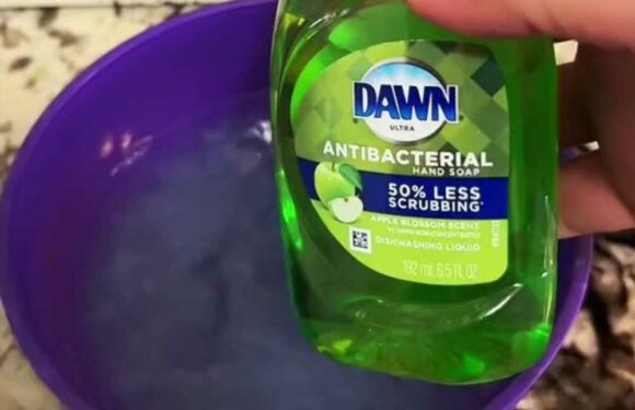 I’m a cleaner and have a £2 secret to keep your home smelling amazing and dust free between cleans – it’s so easy too | The Sun