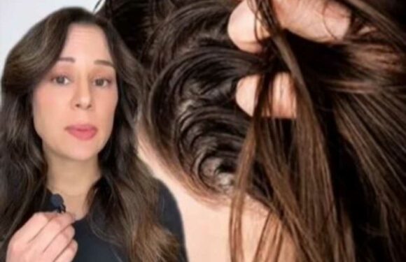 I’m a dermatologist – three reasons you keep getting greasy hair & why your hairbrush is key | The Sun