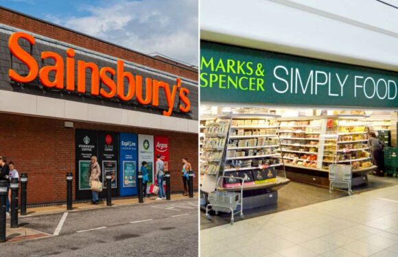 I'm a bargain hunter and I compared the food in M&S and Sainsbury's – I was seriously stunned at the difference | The Sun