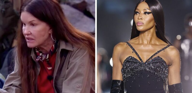 Janice Dickinson sparks cryptic post from Naomi Campbell after swipe