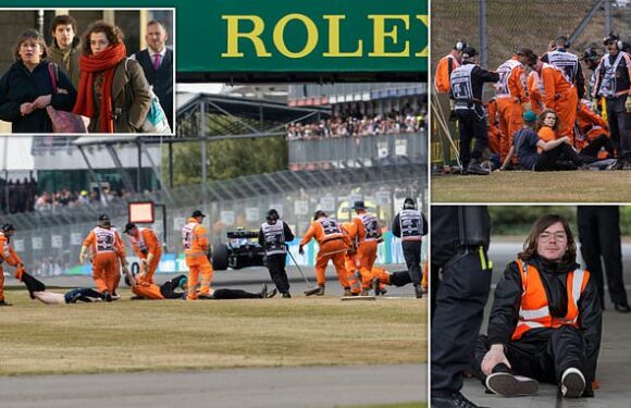 Just Stop Oil protestors who invaded British Grand Prix spared jail
