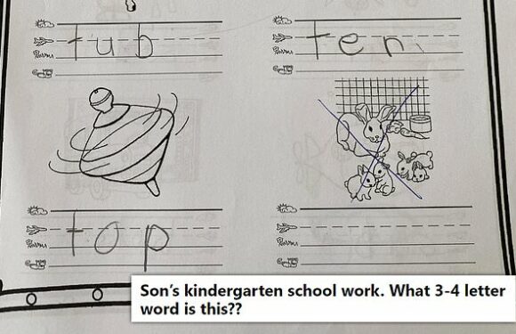 Kindergarten worksheet leaves the internet stumped