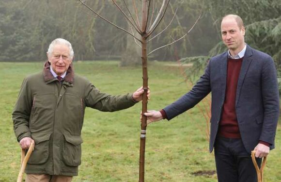 King Charles Ends His Late Mother Queen Elizabeth’s Green Canopy Project