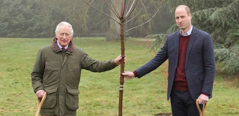 King Charles Ends His Late Mother Queen Elizabeth’s Green Canopy Project