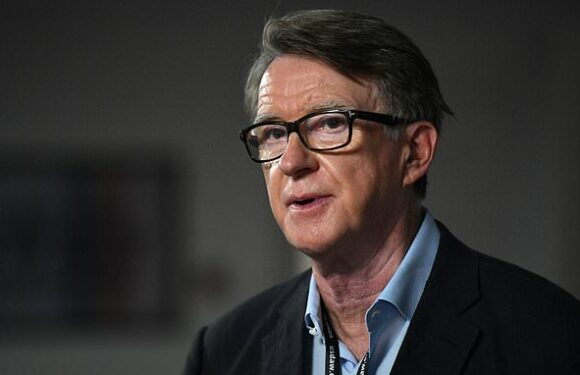 Mandelson's public affairs firm advises spy row video site TikTok