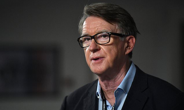 Mandelson's public affairs firm advises spy row video site TikTok