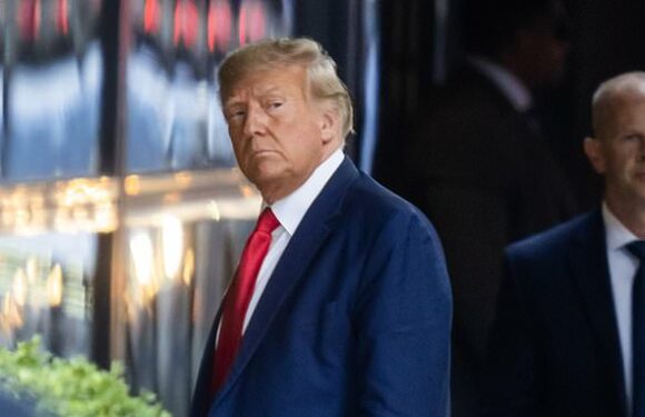 Melania and Barron not spotted among Trump's army of aides