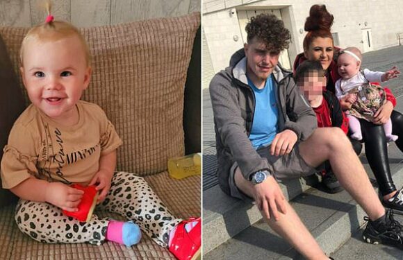 Mother who watched dog maul toddler says she'll 'never come to terms'