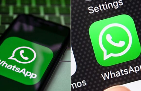 Official WhatsApp warning issued urging users to make key settings changes