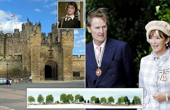 Owners of Harry Potter castle at war with locals over plans for fence