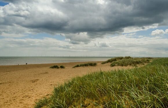 Parents save 14-year-old son from being buried alive in sand horror
