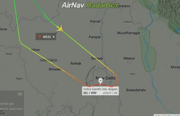 Passenger 'pulls air stewardess' hair & brawls with staff' on flight to London Heathrow forcing plane to turn back | The Sun