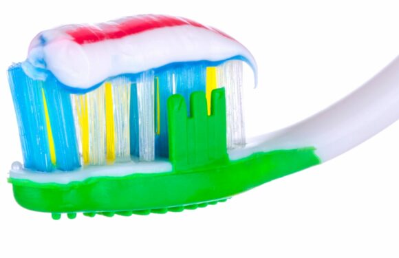 People are only just realising why there’s three coloured stripes in their toothpaste, and how they NEVER mix | The Sun