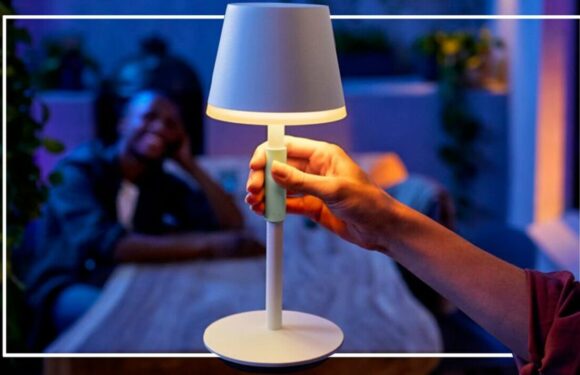 Philips Hue Go Portable Table Lamp review: A bright idea