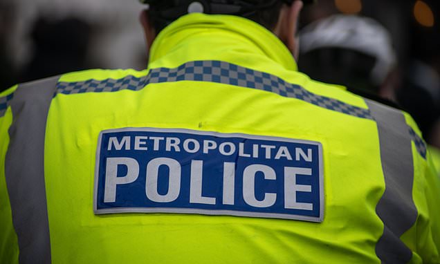 Police spent £34million of taxpayer cash on 753 spin doctors last year