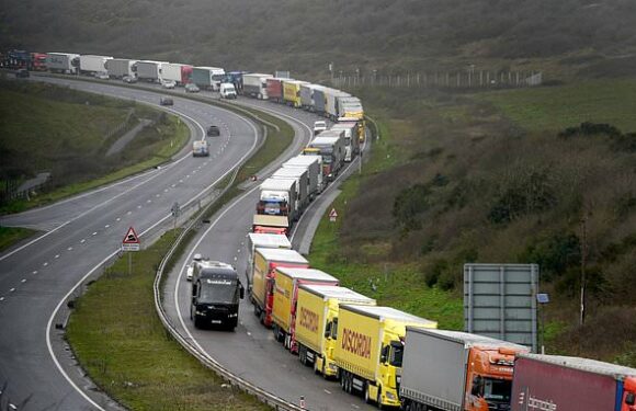 Port of Dover declares critical incident as traffic causes delays