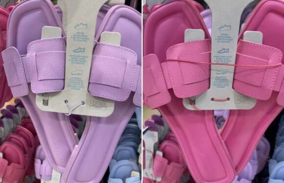 Primark shoppers scramble to get their hands on new-in Hermès sandal dupes that are so similar & a whopping £563 cheaper | The Sun