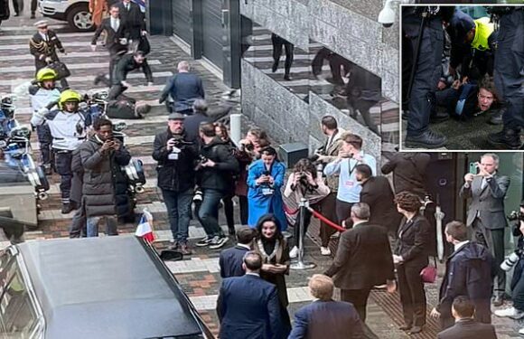 Protestor tackled by Macron in Amsterdam amid pension reform backlash