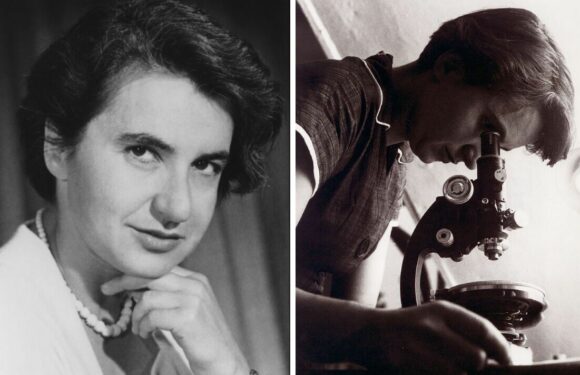 Rosalind Franklin was an equal contributor in the discovery of DNA