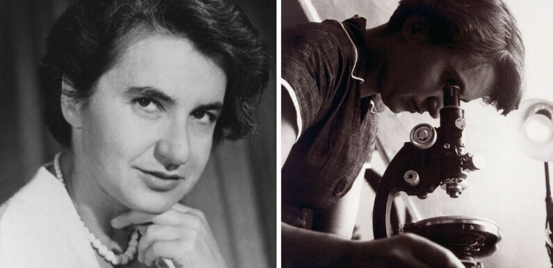Rosalind Franklin was an equal contributor in the discovery of DNA