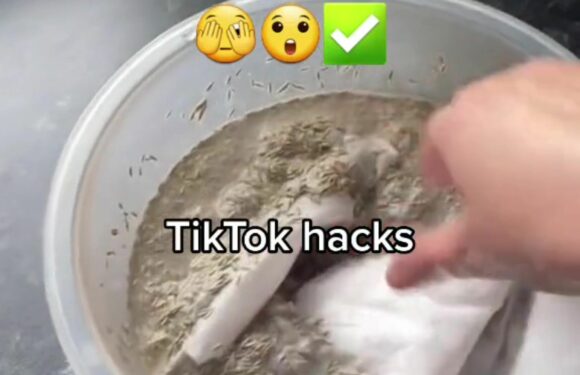 Savvy gardener shares hack to transform patchy lawns using a bathroom item & they say it worked in just 7 days | The Sun