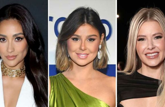 Shay Mitchell’s Beis Shades Raquel Leviss After She's Seen With Weekend Bag
