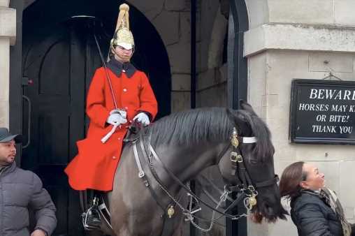 Shocking moment King’s Guard horse BITES woman’s hair – but everyone is saying the same thing | The Sun