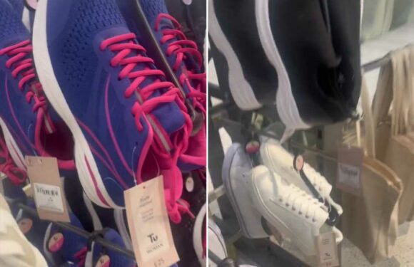 Shoppers are racing to Sainsburys as they spot dupes for pricey sports brands including New balance, Nike and Converse | The Sun